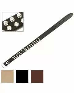 Collare cani cuoio borchie doppie mm 30 cm 60