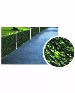 Siepe lauro h 100 m 3 trex 00029