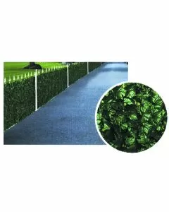Siepe edera h 150 m 3 trex 03474