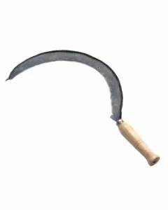 Falciola mezza larga mm 555 falci