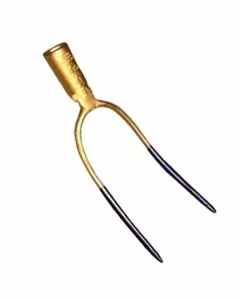 Forca 2 denti oro styria