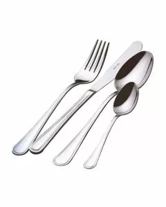 Cucchiaio acciaio frutta pz 12 cambri salvi