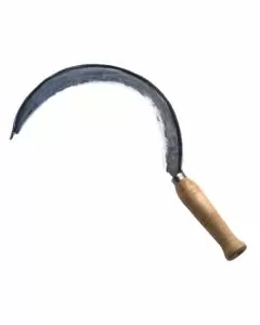 Falciola stretta punta chiodo mm 440 falci