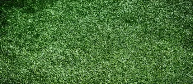 Erba sintetica per giardino, guida all’acquisto